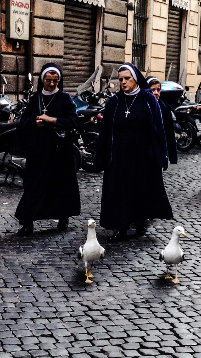 suore-e-gabbiani